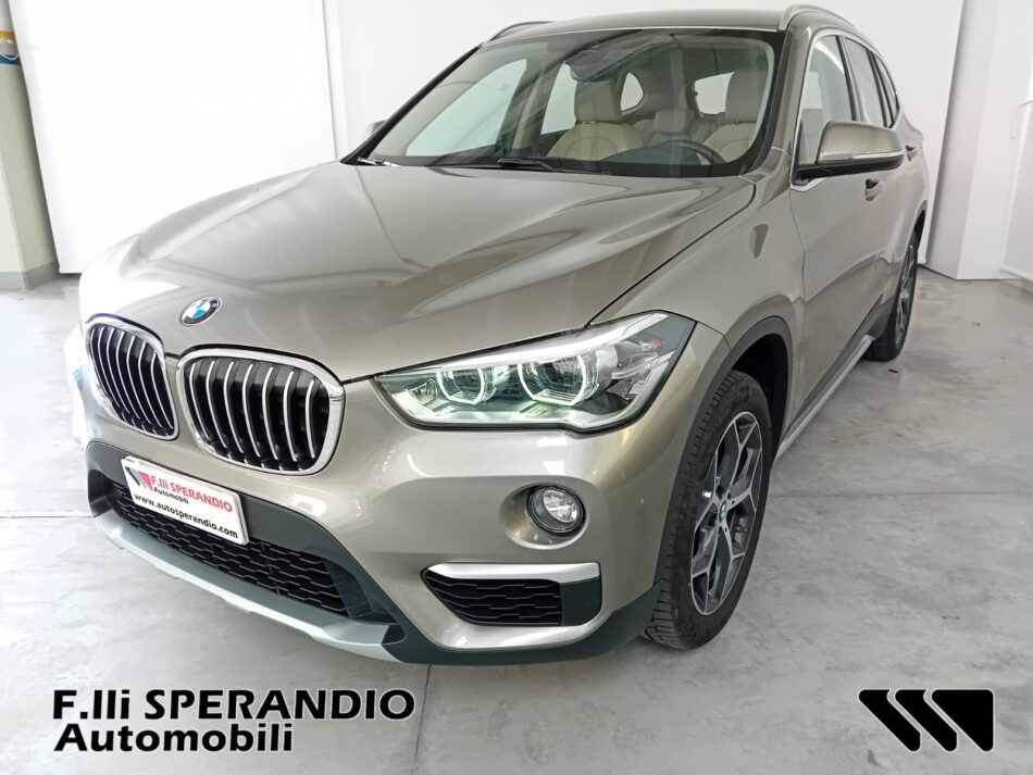 BMW X1 XDRIVE 18D XLINE-Array