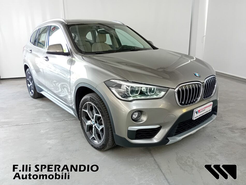 BMW X1 XDRIVE 18D XLINE-Array