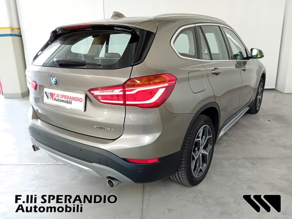 BMW X1 XDRIVE 18D XLINE-Array