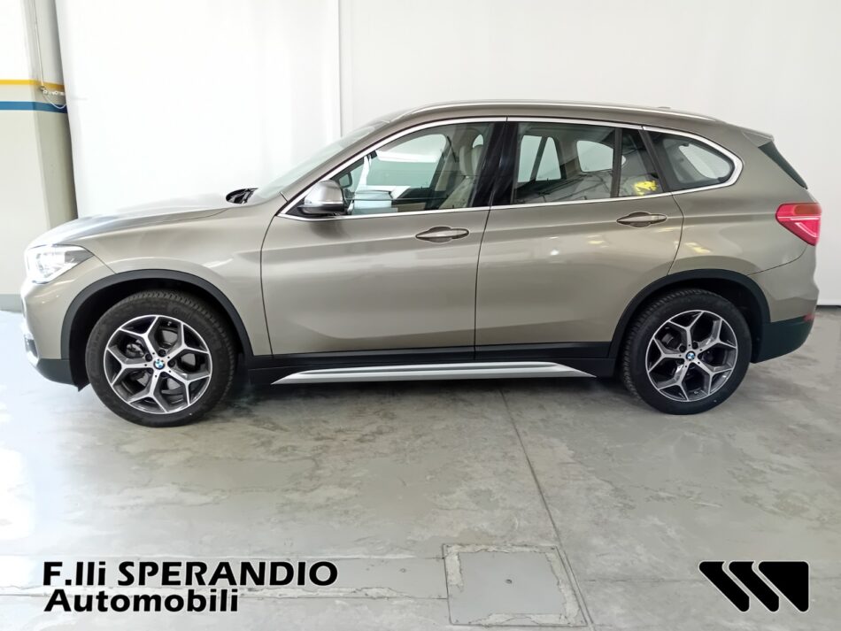 BMW X1 XDRIVE 18D XLINE-Array