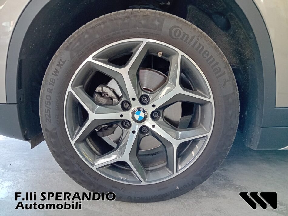 BMW X1 XDRIVE 18D XLINE-Array